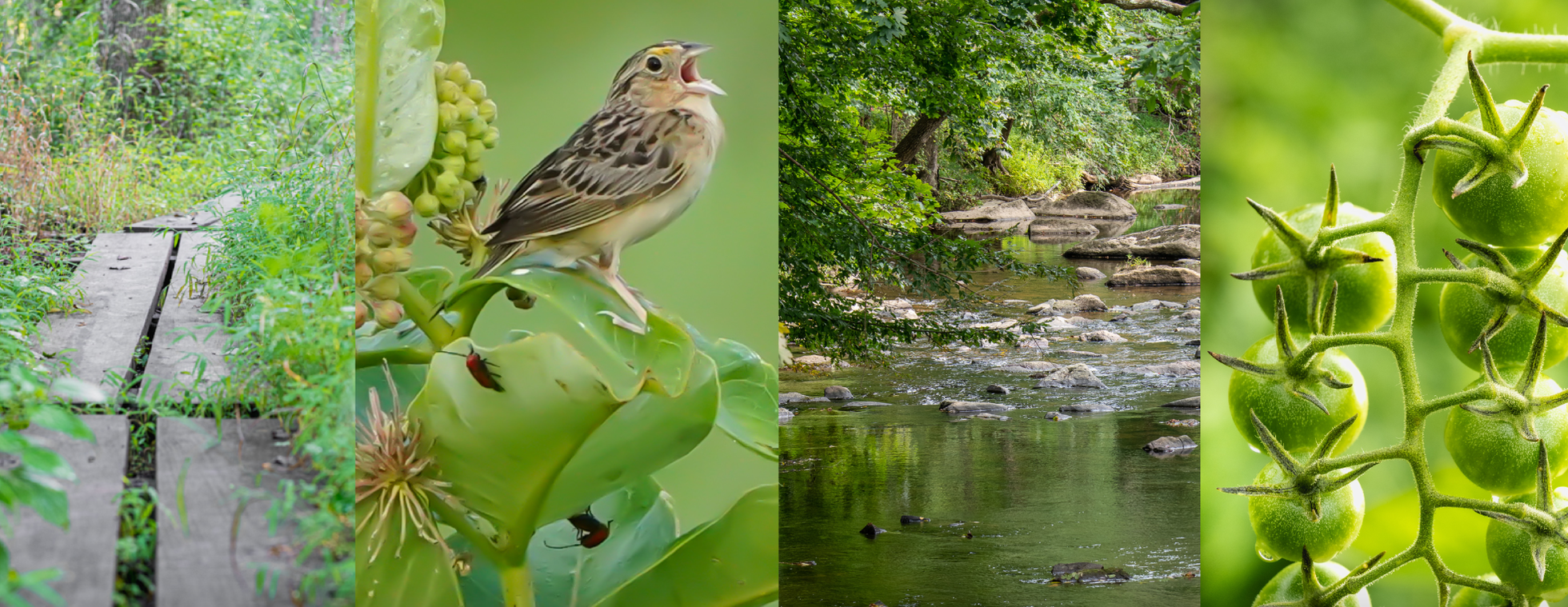 ECOcentric Experience : Uncovering Living Clues to Stream Health | October 8